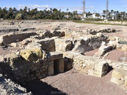 Ciudad de Elche 2022